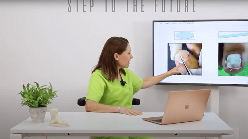 webinars interactivos